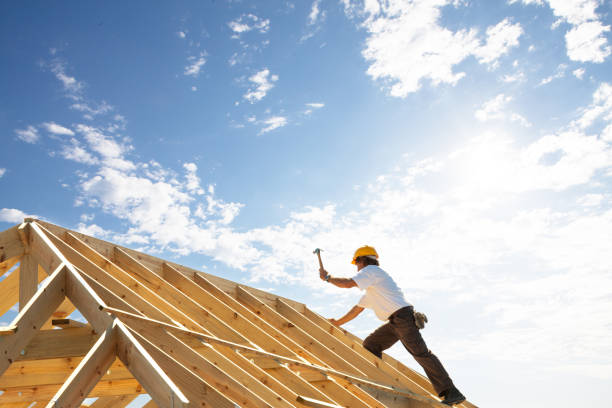 Trusted Nicholls, GA Roofing services Experts